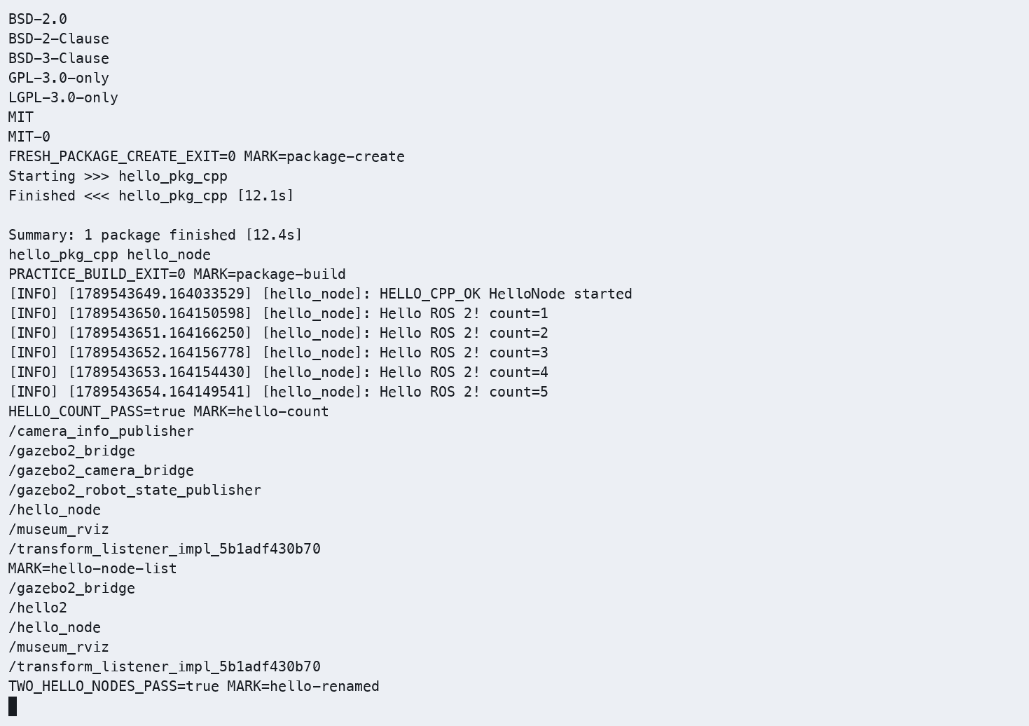 COM260 同时运行 hello_node 与重命名后的 hello2，ros2 node list --no-daemon --spin-time 10 显示两个独立节点。